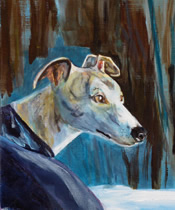 joey, a whippet